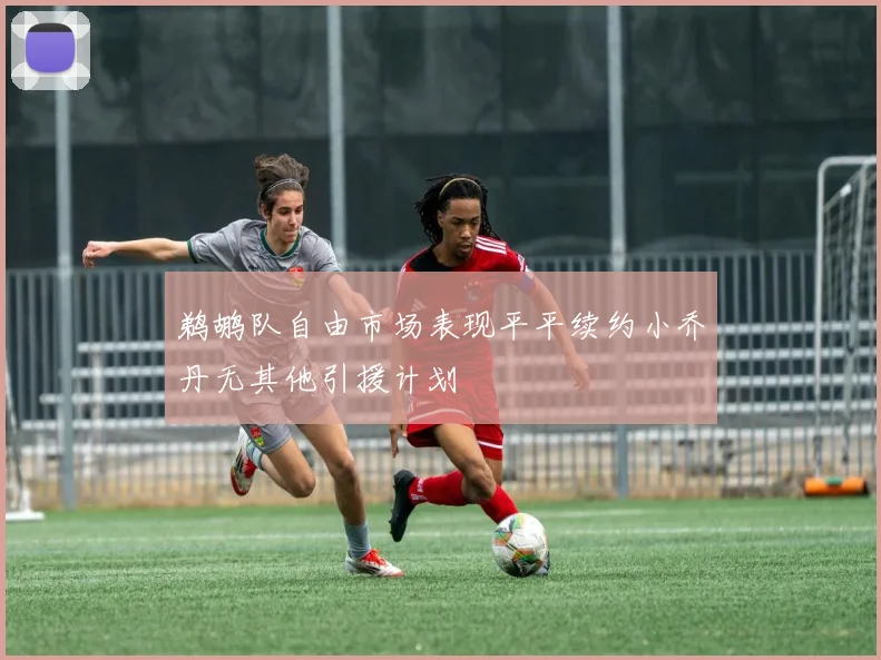 鹈鹕队自由市场表现平平续约小乔丹无其他引援计划